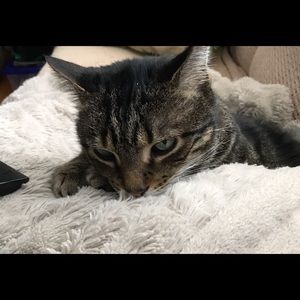 Meet your Posher, Cathy